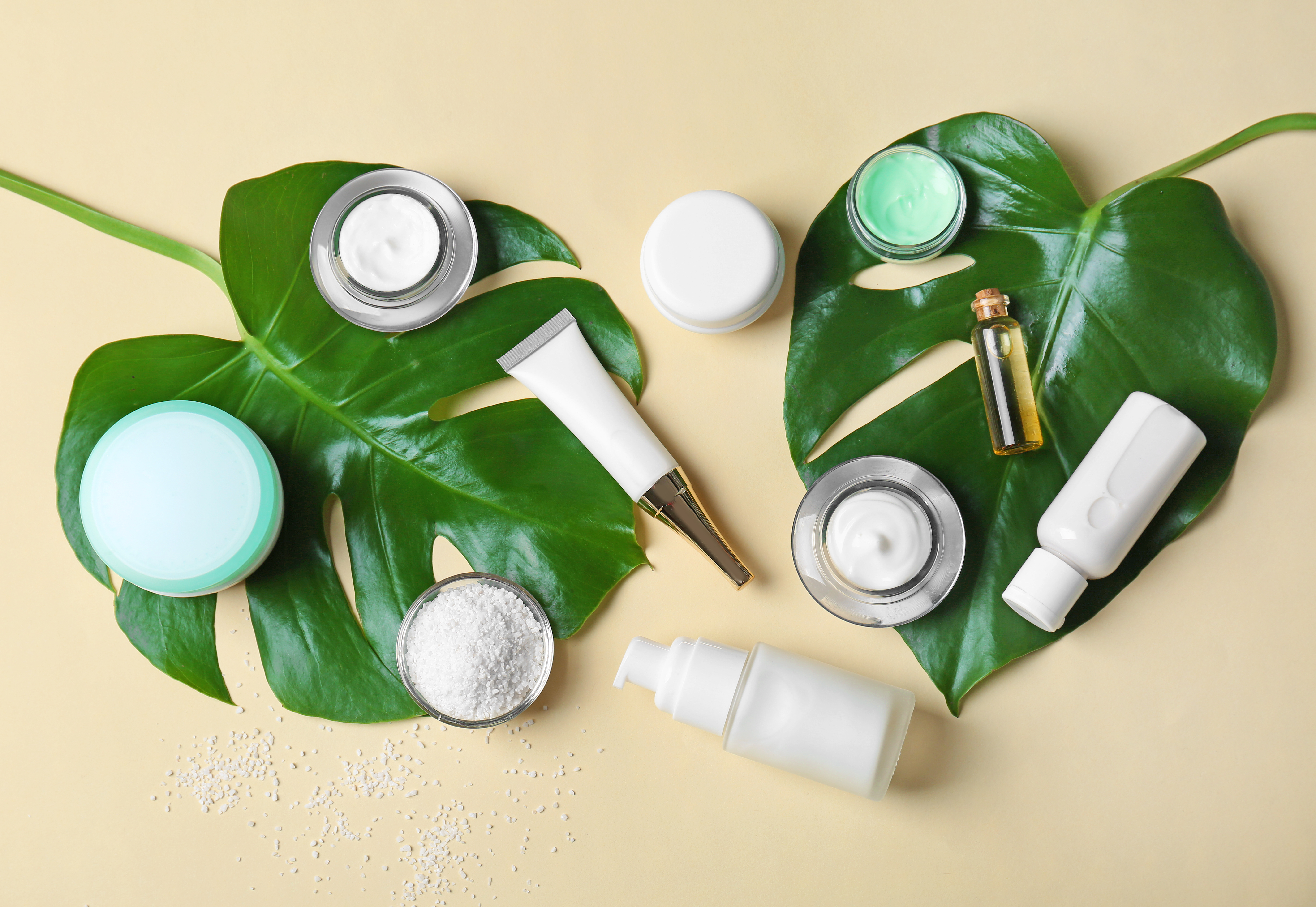 natural skin care products layed out on top of green leaves