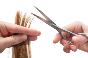 hair shears cutting hair