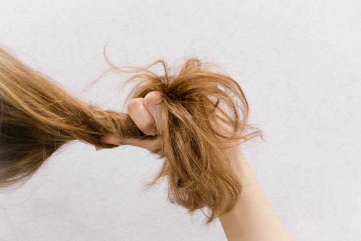 dealing with dry, stiff hair