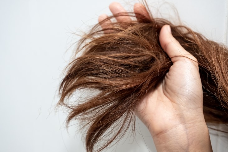 how to fix dry hair