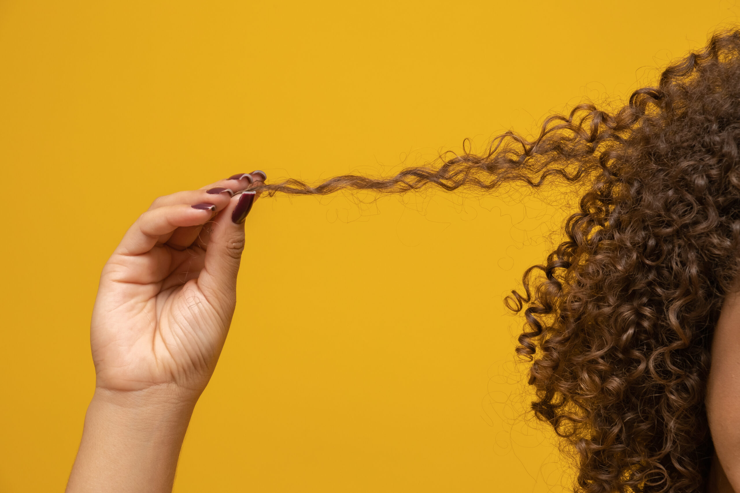 woman holding curly strand