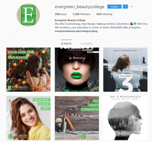 screenshot of Evergreen's instagram profile