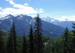 scenic picture of mountains and trees