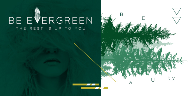 Be Evergreen the Rest is Up To You